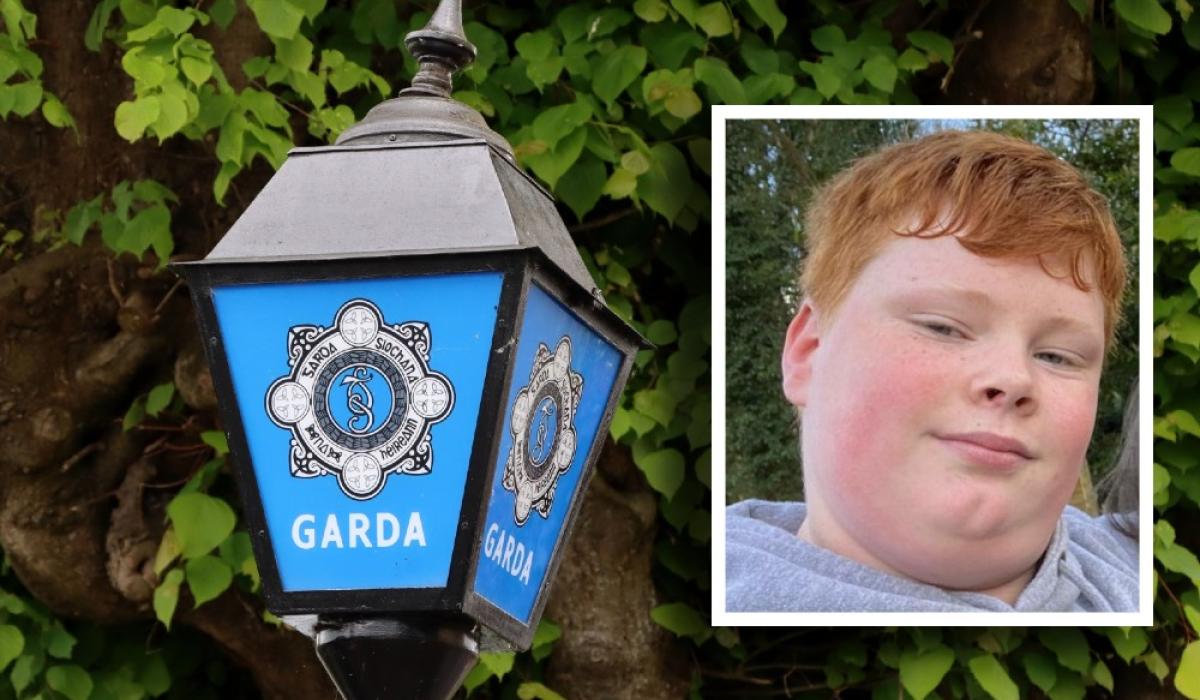 Two-week search for missing Irish teen stood down following 'concern' amid Garda update
