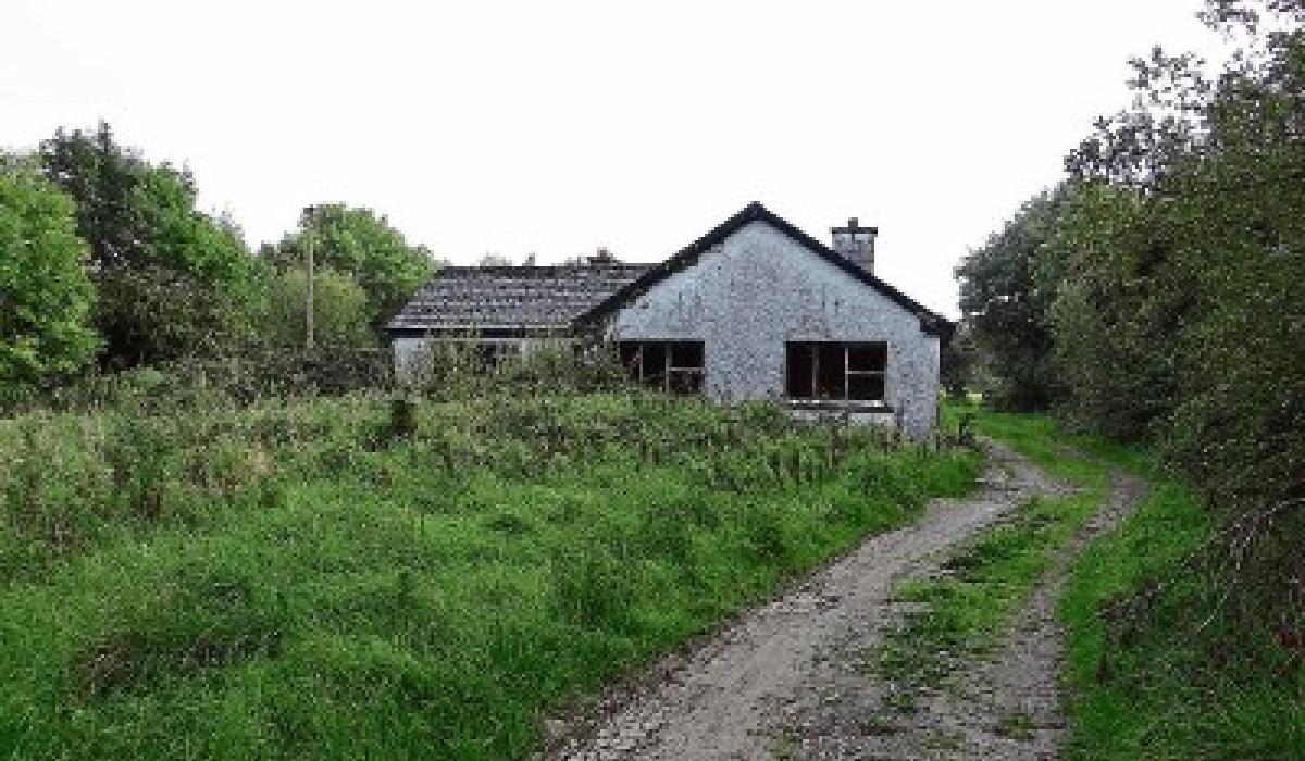 Matt Dunne sells Daingean land at auction Laois Live