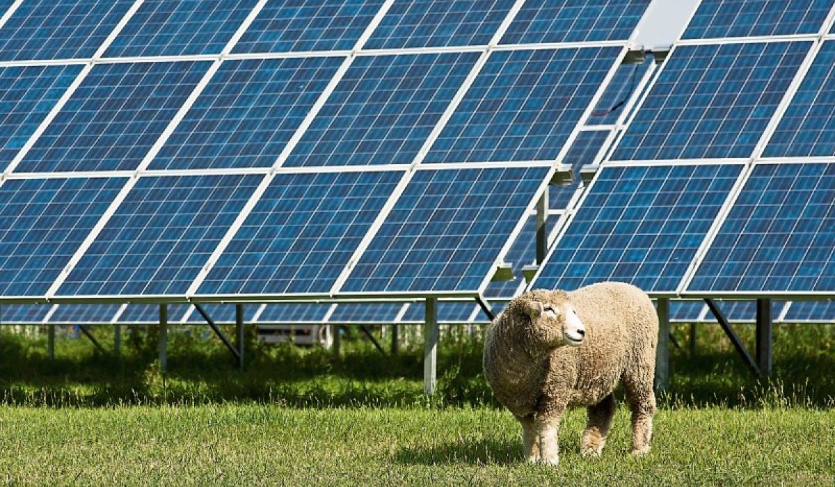 Laois company behind massive €40m solar farm refused planning
