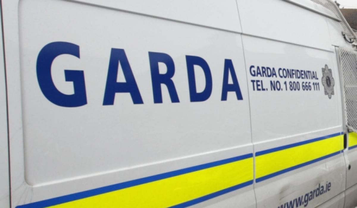GardaI say 'prolific' thief suspected of crimes across Ireland arrested in Laois