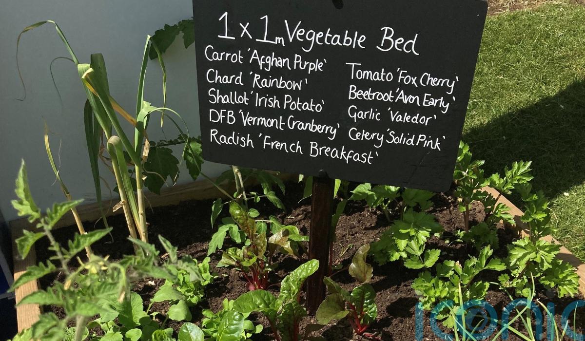 GUIDE: Big ideas for tiny gardens from mini ponds to bug ...