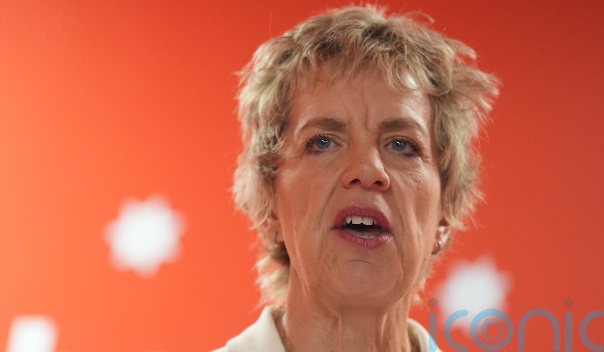 Irish Labour leader Ivana Bacik says Irish unity stance is not about Sinn Fein