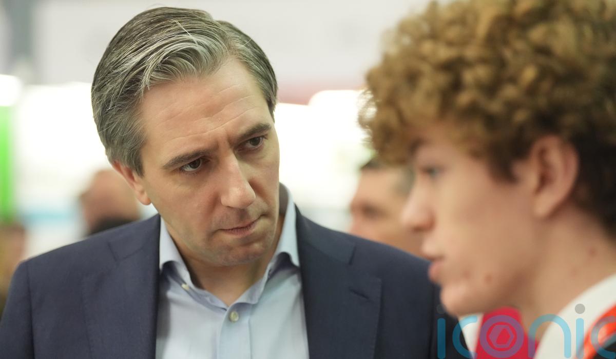 EU ‘can’t take for granted’ Mercosur deal – Tanaiste