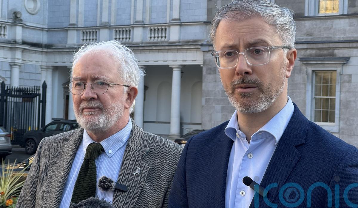 Government needs to confirm ‘today’ AI legislation strong enough – Green Party