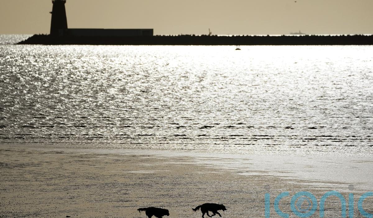 Man in 80s dies in stormy water off south Dublin coast
