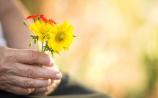 Support services for people who have been bereaved