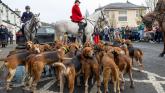 Peaceful protest planned at Christmas hunt in Laois