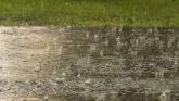 LIVE: Met Éireann urges caution this weekend as weather warning is issued for Laois