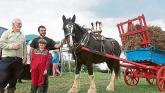 Knock Threshing Festival promises fun for all in Laois!