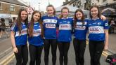 laois