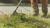 Laois Tidy Towns group 'struggling' with upkeep of village greens