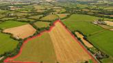 Laois local buys substantial plot of agricultural land at auction