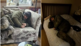 Laois Offaly Gardaí say AI home intruder image trend causing hoax callouts