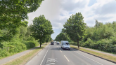 Call to remove trees along Laois road