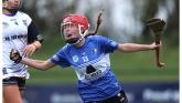 Camross Camogie's young gun Erin Walsh- 'I hope we can do it for the older girls now'