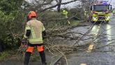 Storm Bram: More Laois homes lose power with trees falling on roads