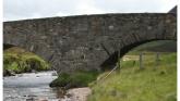 Fears of historical bridge in Laois in danger of collapsing