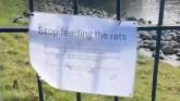 'Stop feeding the rats' signs in Laois estate as dumpers blamed for infestation
