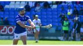 Mossy Keyes masterclass sends Laois hurlers one step closer to Division 1B return