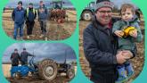 PICTURES: South Laois ploughers swing into action