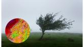 Strong winds set to batter Ireland as wind warnings issued for entire country