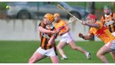 Camross and The Harps share points in thriller while Clough/Ballacolla hammer Abbeyleix