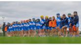 PREVIEW: Busy Saturday with Laois Camogie, minor hurlers and LGFA minor footballers all in action