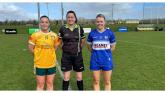Laois Ladies' Division 3 status hanging by a thread after defeat to Antrim
