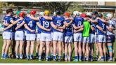 13 changes for Laois as team named ahead of Division 2 Hurling League final against Kerry