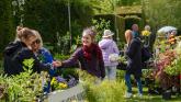 Food, art, gardening and more at Ballintubbert House festival in Laois