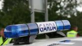 Appeal after Laois charity burgled
