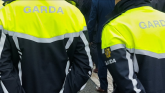 Laois Garda&iacute; investigate criminal damage of two Portlaoise businesses