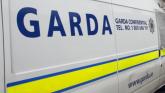 GardaI say 'prolific' thief suspected of crimes across Ireland arrested in Laois