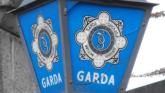 Woman airlifted to hospital after dog attack in Carlow