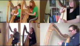 coronavirus covid-19