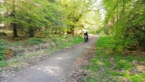 Terryifying bikers wreak havoc in Coillte-owned woods at Emo Court #watch