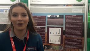 WATCH: Laois student Caoimhe Murphy wild bird project af BT Young Scientist 