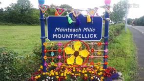 WATCH: Yarn Bombing Mountmellick in action putting up their amazing creations