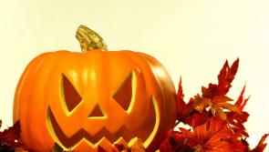 Halloween fun at the Monasterevin Peoples Market