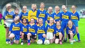 Portarlington hold off Timahoe comeback