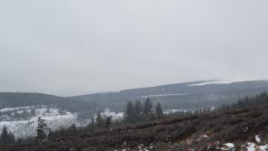 Snowfalls in Laois herald the start of wintry weather