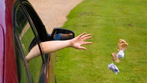 Find out why a motorist in Laois escaped prosecution after litter flew out of vehicle