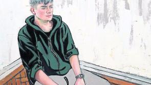 Former Knockbeg pupil Shortlisted for Hennessy Portrait Prize 