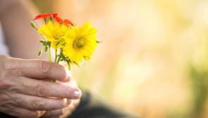 Support services for people who have been bereaved 