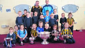 PHOTO GALLERY: Dublin All Ireland footballer Denis Bastick brings Sam Maguire to Laois