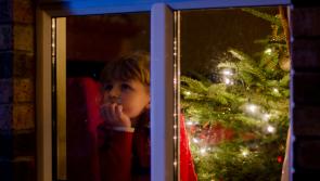 Winner of Leinster Express 'Loving Christmas in Laois' photo competition announced 