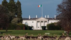 Laois county councillor nominates Presidential hopeful - council to vote