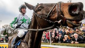 'Our Duke' triumphs for Coolrain family syndicate at Leopardstown Races 