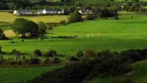 Quantity of Laois land offered for sale plummets while values also dip