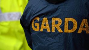 Gardai seize cocaine worth up to €35,000 in Ballinakill